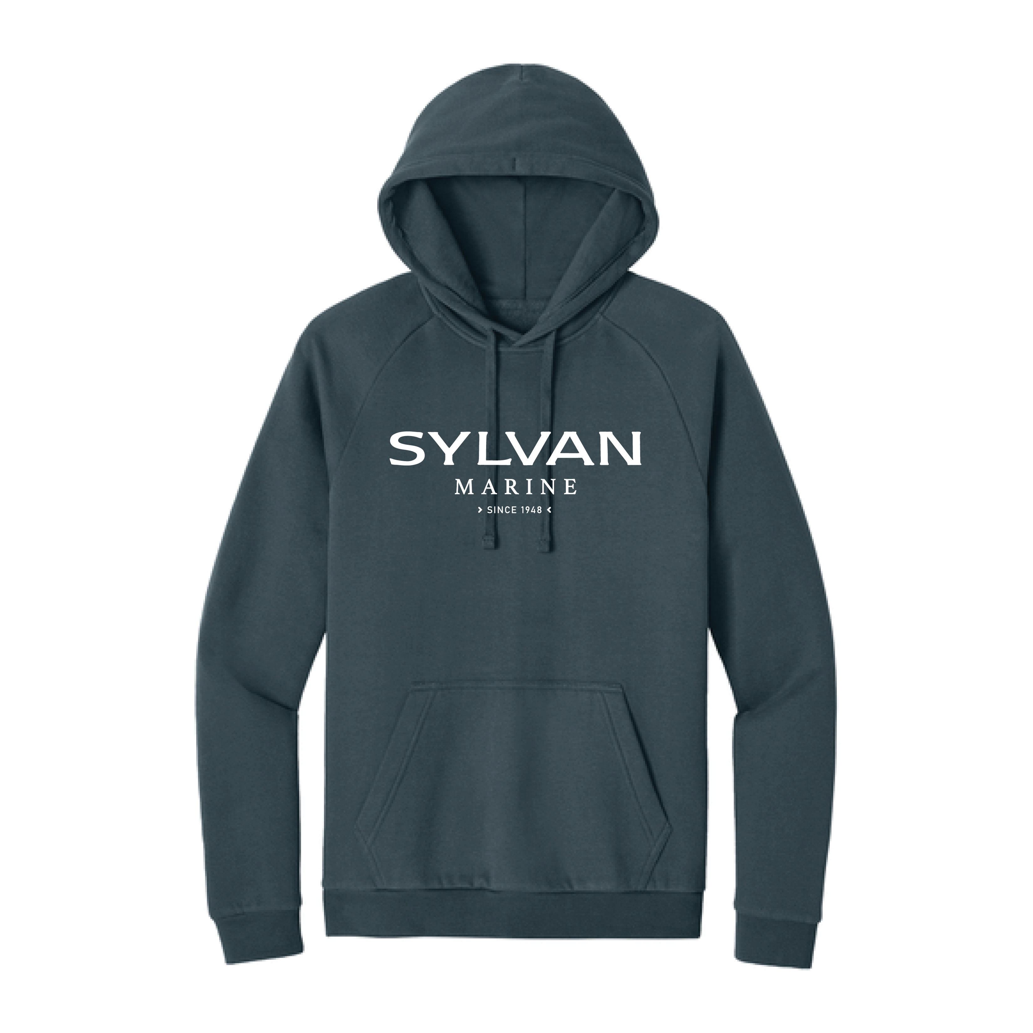 District Cloud Fleece Hoodie Text Logo - DT7800 - Deep Steel Blue